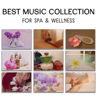 Escape from Reality - Paradise Spa Music Academy