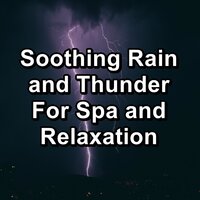 Medium Rain and Thunder and Nature Sounds For Babies to Relax and Rest - Spa Relaxation & Spa Zen & Spa Music Relaxation