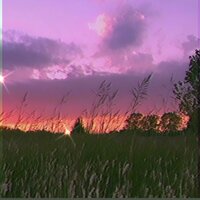 No Rules - Temple