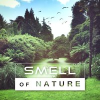 Pure Therapy II - Nature Tribe