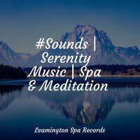 Awakened Soul - Deep Sleep & Spa & Study Music Library