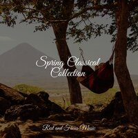 Under Control - Academia de Meditação Buddha & Entspannungsmusik Meer & Relaxamento