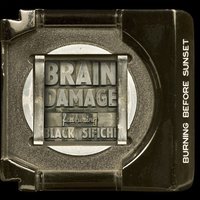 Plain White Butterfly - brain damage