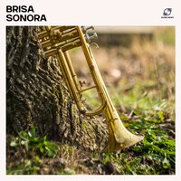 Kaffebordjazz - Jazz Relaxante & Jazz Suave & Feriado Jazz Música & Jazz Suave Música