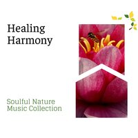 Gentle Rain and Distant Thunder - Spa Zen Melodies & Spa Music Relaxation