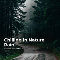 Nature Rainfall Unwind - Rain Recorders & Rainfall & Nature Rain Relaxation