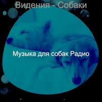 Чувство (Одинокие собаки) - Музыка для собак Радио