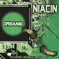 4'5 3 - Niacin & Dennis Chambers & Billy Sheehan & John Novello