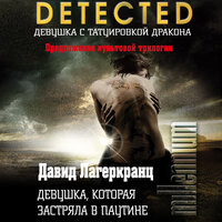 Давид Лагеркранц. «Девушка, которая застряла в паутине». Часть 16 - Станислав Концевич