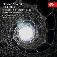 Super flumina Babylonis: No. 8, Adhaereat lingua mea - Roman Valek & Czech Ensemble Baroque