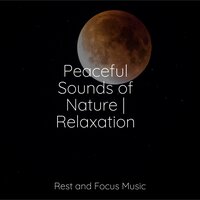 True Peace - Tinnitus Aid & Pro Sound Effects Library & Reiki Music