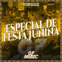 Especial de Festa Junina - DJ DTS ORIGINAL & MC MENOR DO ML