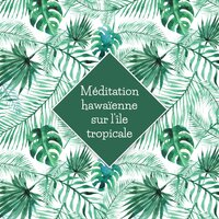Rêver d'Hawaï - Zen Méditation Ambiance