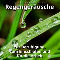 Entspannung - Regengeräusche ohne Musik & Regengeräusche & Naturgeräusche
