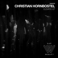 Axis Mundi - Christian Hornbostel