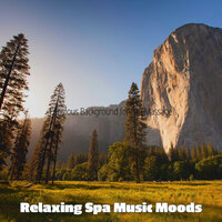 Background for Lucid Dreaming - Relaxing Spa Music Moods