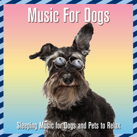 Car Ride - Relax My Dog & Dog Music Dreams & RelaxMyDog