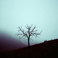 Rain Inside My Soul - Velvet Crab