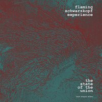The State of the Union - Flaming Schwarzkopf Experience