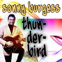 Sadie's Back In Town - Sonny Burgess