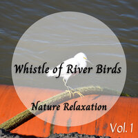 Introspection Through Dreams - Nature Lab & Relaxing Musk Ox & Natural Baby Sleep Aid Academy