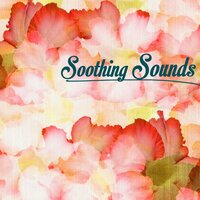 Gentle Birds Singing and Forest Stream - Soothing Music Ensamble