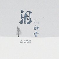 泪如雪 - 海来阿木 & 默涵