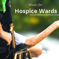 Push My Wheelchair - Soothing Therapy