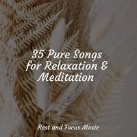 Cozy Cuddles - Pet Care Music Therapy & The Relaxation Principle & Especialistas de Musica para Dormir