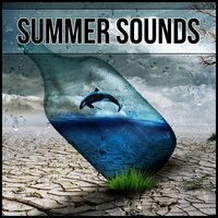 Deep Meditation - Hypnosis Nature Sounds Universe