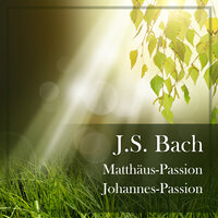 J.S. Bach: St. John Passion, BWV 245 / Part One - No. 5 "Dein Will gescheh, Herr Gott, zugleich" - Netherlands Radio Chorus & Royal Concertgebouw Orchestra & Eugen Jochum & Johann Sebastian Bach