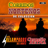 El Gallero Del Pueblo - Los Relampagos del Norte