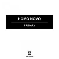 Aereolitic - Homo Novo