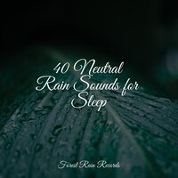 Wind and Storms - Schlaflieder Für Kinder & Ambient Nature Project & Sleepy Times