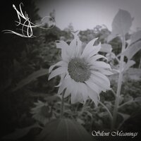 Moonflower - Ny