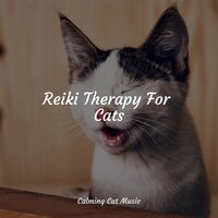 Lake Reflection - Pet Care Music Therapy & RelaxMyCat & Music for Resting Cats