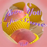 Love You the Same - Veil