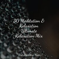 Starlit Serenity - Tonal Meditation Collective & Easy Sleep Music & Musica Para Dormir y Sonidos de la Naturaleza