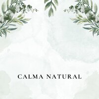 Tranquilidad pura - Paz Profunda & Tranquilidad absoluta & Calmante diario