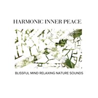 Natural White Noise - Spa Music Paradise & Gold Spa Melodies