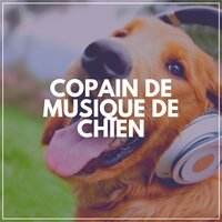Musique calme pour chiens, Pt. 10 - Musique pour Chiens