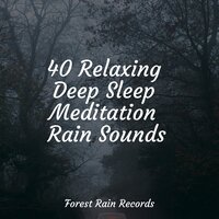 Ocean Waves and Seagulls - Ready Baby Music! & Study Concentration & Massage Therapy Music