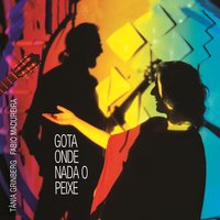Dragão Dourado - Tânia Grinberg & Fabio Madureira & Antônio Nóbrega & Ari Colares & Cuca Moreira & Daniel Pires