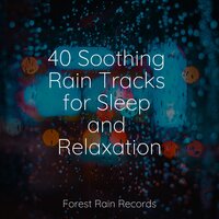 Relaxing Creek - Sounds of Nature: Thunderstorm, Rain & Rain Sounds Collection & Crying & Colic Relief