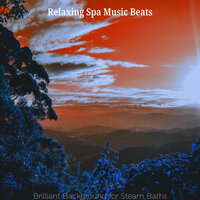 Shakuhachi and Koto Soundtrack for Spa Days - Relaxing Spa Music Beats