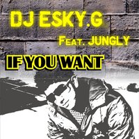 If You Want - Jungly & Dj Esky.G