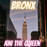 Silver Battery - Ani The Queen