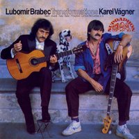 Largo - Johann Sebastian Bach & Karel Vágner & Lubomir Brabec & Karel Vágner Orchestra