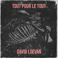 pourtant j'étais sobre - DAVID LOEVAN