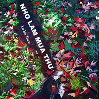 HOA MUA DONG - Giao Linh